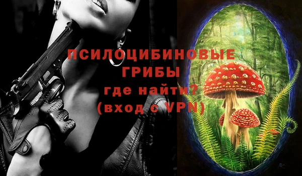 спиды Пестово