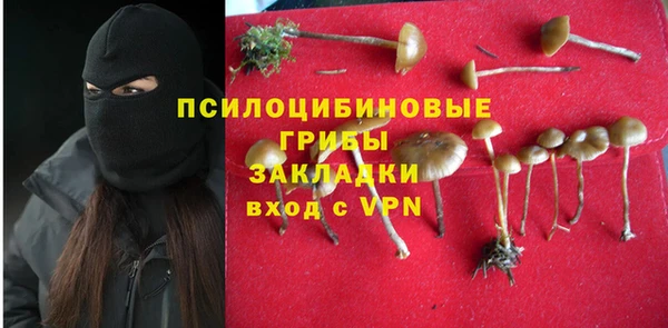МДПВ Осинники