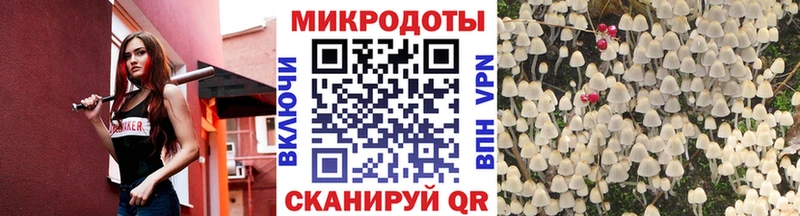 Псилоцибиновые грибы прущие грибы Куртамыш